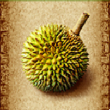 amazon queen symbol durian fruit