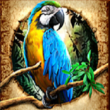 amazon queen symbol macaw