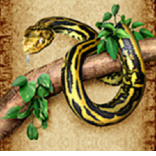 amazon queen symbol snake