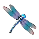 big bass bonanza symbol dragonfly