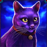 madame-destiny-black-cat-symbol