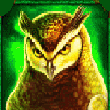 madame-destiny-owl-symbol