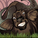 Mega Moolah symbol Cape Buffalo