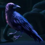 Immortal Blood symbol Crow