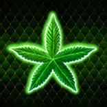 Stoned Joker symbol Green Leaf