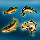 Big Size Fishin’ symbol Fish with different sizes