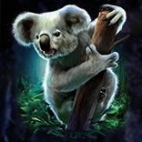 Boomerang Jack’s Lost Mines symbol Koala
