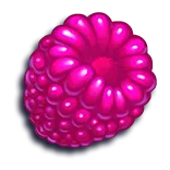 Jammin’ Jars symbol Raspberry