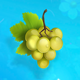 SpinJoy Society Megaways symbol Grapes