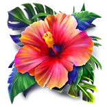 Tiki Goddess symbol Hawaiian hibiscus