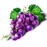 Ultra Burst symbol Grapes
