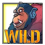 Cash Legion symbol Necro Kong (Expanding Wild)