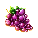 Diamond Fever symbol Grapes