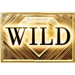 FashionTV Highlife symbol Wild