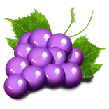 Fruityliner 100 symbol Grapes