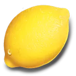 Fruityliner 100 symbol Lemon