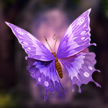 Holla die Waldfee symbol Butterfly