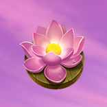 Hot Hot Honey symbol Water Lily