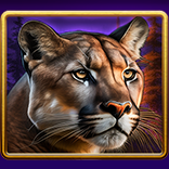 Reel Wolf symbol Cougar