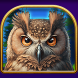 Reel Wolf symbol Owl