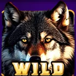 Reel Wolf symbol Wild Wolf