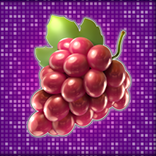 Respin Fruits Slot symbol Grapes