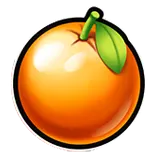 Super Wild 27 symbol Oranges
