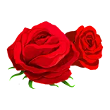 Toro Wilds Reel symbol Roses