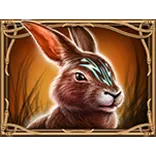 Moonlight Fortune 50 symbol Rabbit