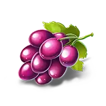 Multi Bricks symbol Grapes