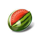 Multi Bricks symbol Watermelon