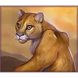 Savage Buffalo Spirit MEGAWAYS symbol Cougar